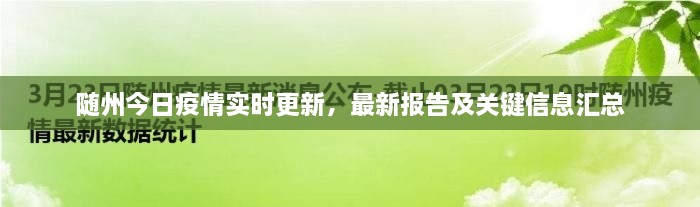 隨州今日疫情實(shí)時(shí)更新，最新報告及關(guān)鍵信息匯總