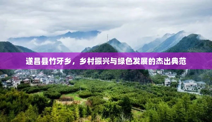 遂昌縣竹牙鄉，鄉村振興與綠色發(fā)展的杰出典范