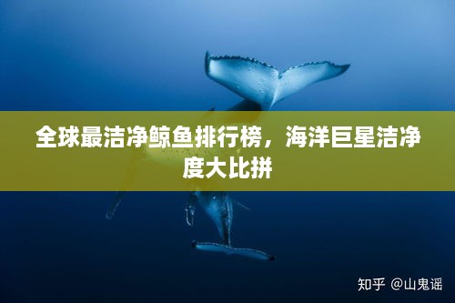 全球最潔凈鯨魚(yú)排行榜，海洋巨星潔凈度大比拼