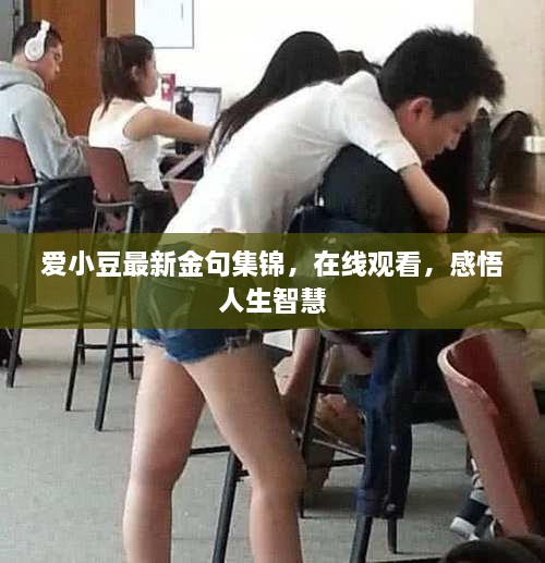 愛(ài)小豆最新金句集錦，在線(xiàn)觀(guān)看，感悟人生智慧