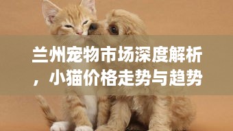蘭州寵物市場(chǎng)深度解析，小貓價(jià)格走勢與趨勢探尋
