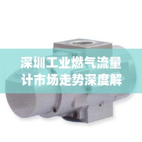 深圳工業(yè)燃氣流量計市場(chǎng)走勢深度解析