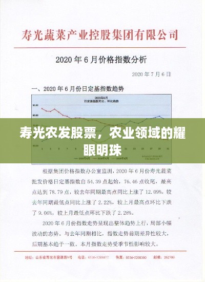 壽光農發(fā)股票，農業(yè)領(lǐng)域的耀眼明珠