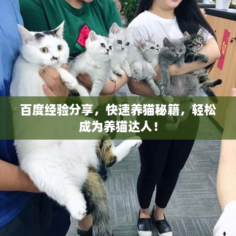 百度經(jīng)驗分享，快速養貓秘籍，輕松成為養貓達人！