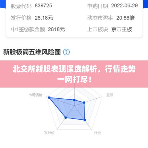 北交所新股表現深度解析，行情走勢一網(wǎng)打盡！