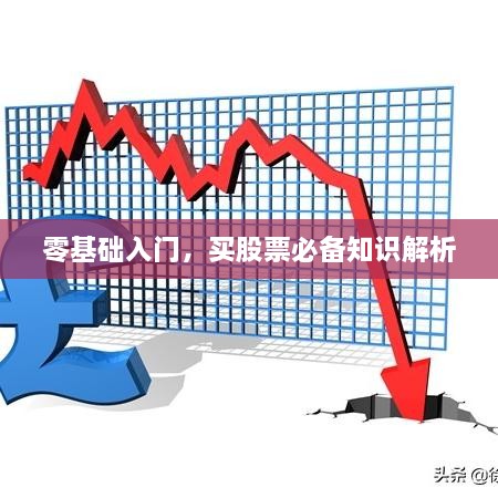 零基礎入門(mén)，買(mǎi)股票必備知識解析