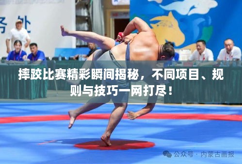 摔跤比賽精彩瞬間揭秘，不同項目、規則與技巧一網(wǎng)打盡！