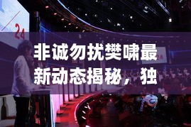 非誠勿擾樊嘯最新動(dòng)態(tài)揭秘，獨家爆料吸引眼球！